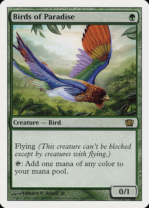 Birds of Paradise 233