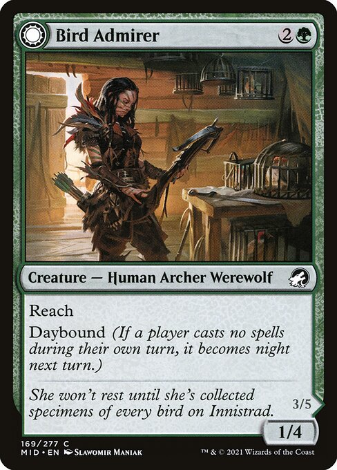 Bird Admirer // Wing Shredder 169