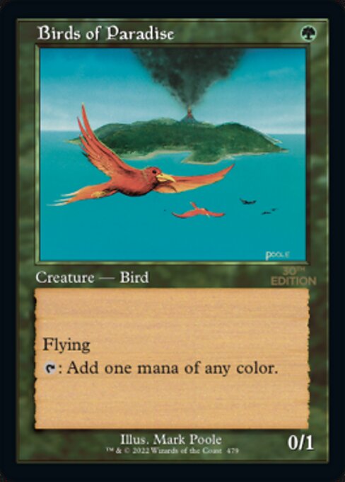 Birds of Paradise 479