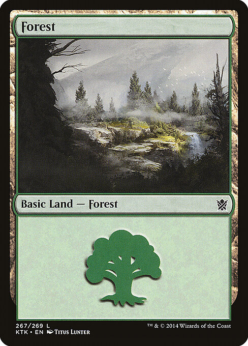 Forest 267