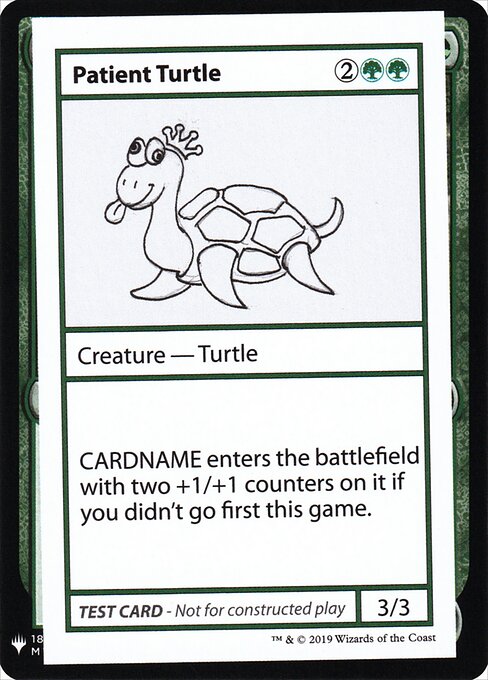 Patient Turtle 82