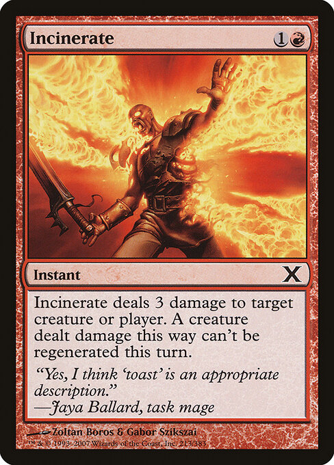 Incinerate 213