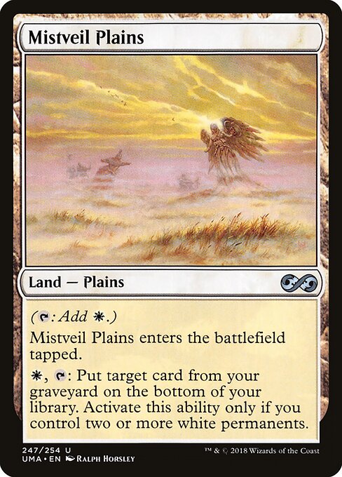 Mistveil Plains 247