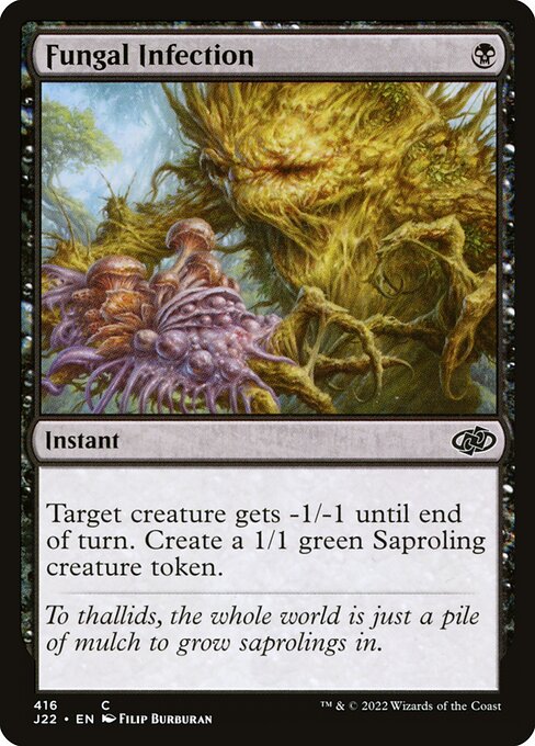 Fungal Infection 416