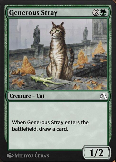 Generous Stray 95