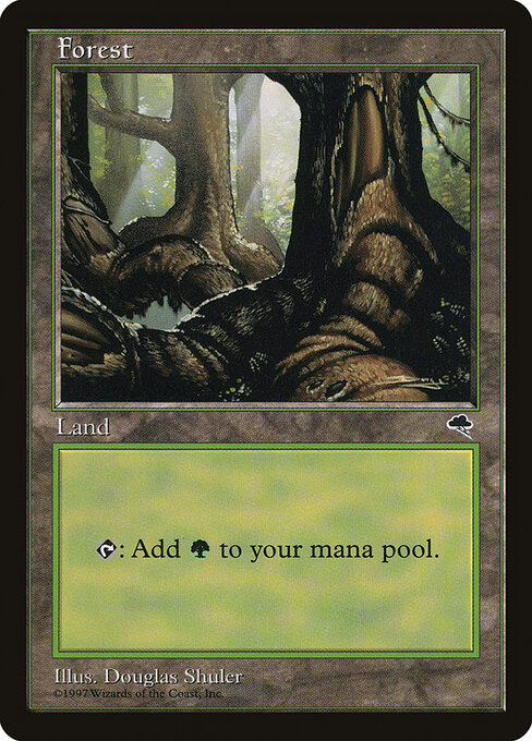 Forest 348