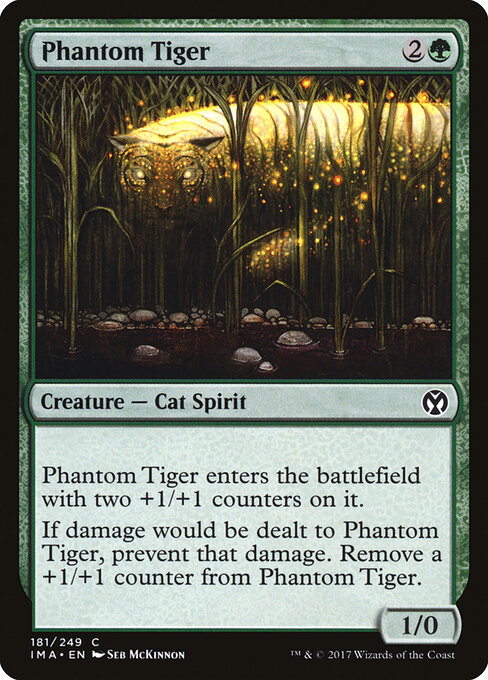 Phantom Tiger 181