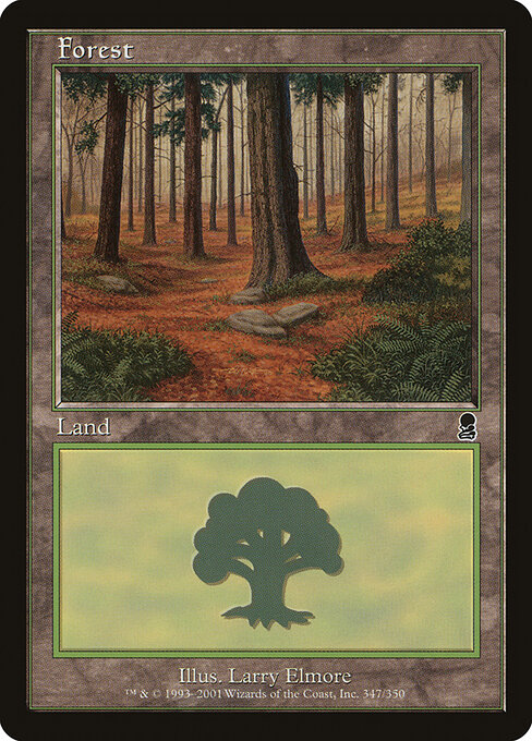 Forest 347