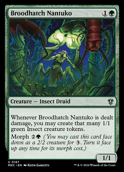 Broodhatch Nantuko 167
