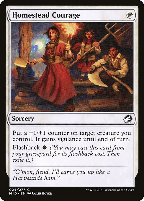 Homestead Courage 24