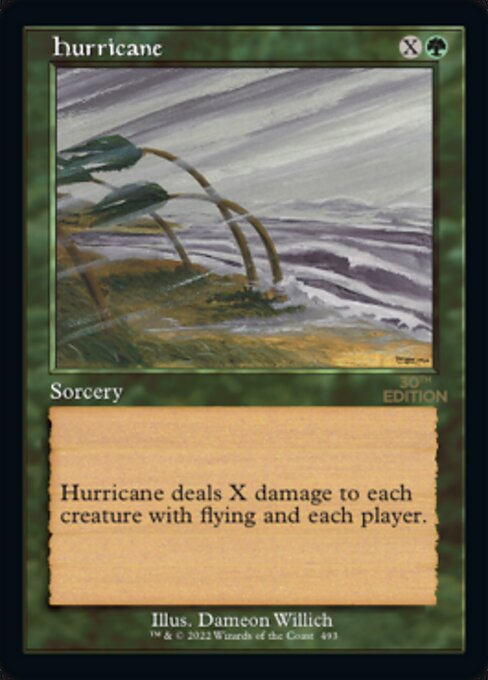 Hurricane 493