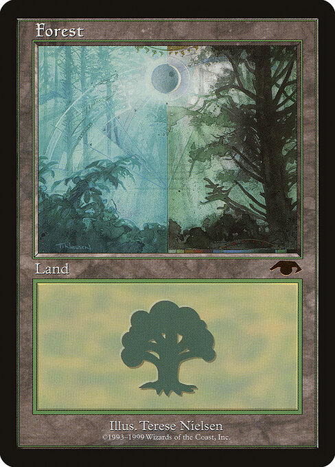 Forest 5