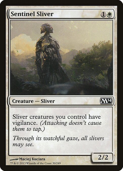 Sentinel Sliver 30