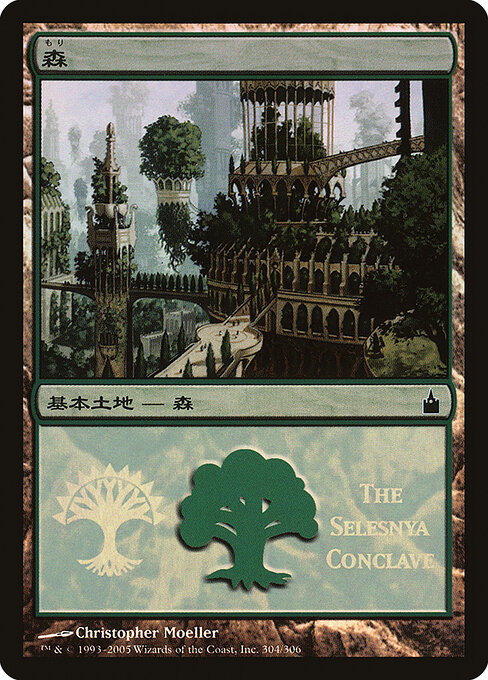 Forest 304