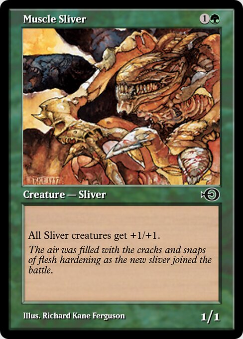 Muscle Sliver 36034
