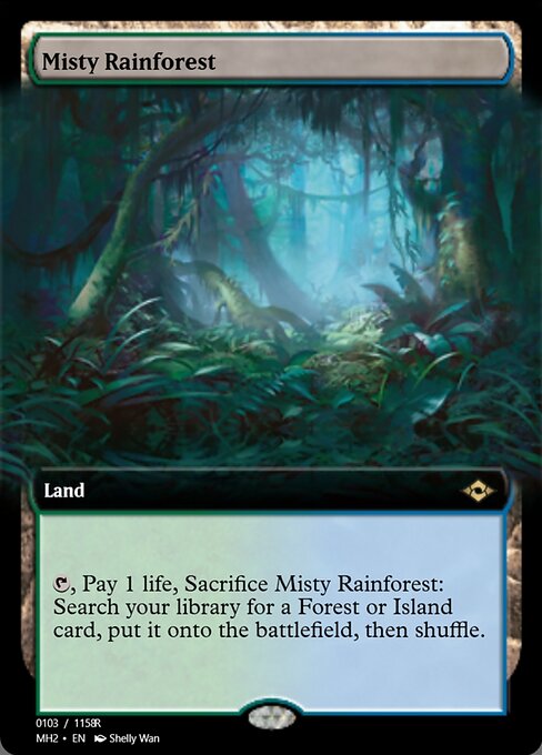 Misty Rainforest 91407