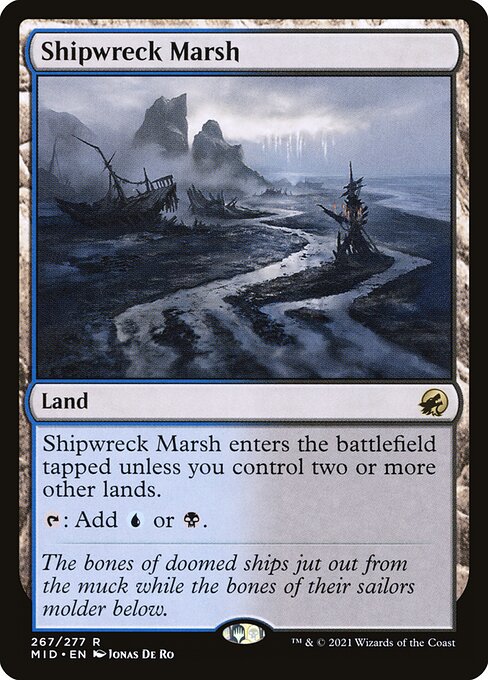 Shipwreck Marsh 267