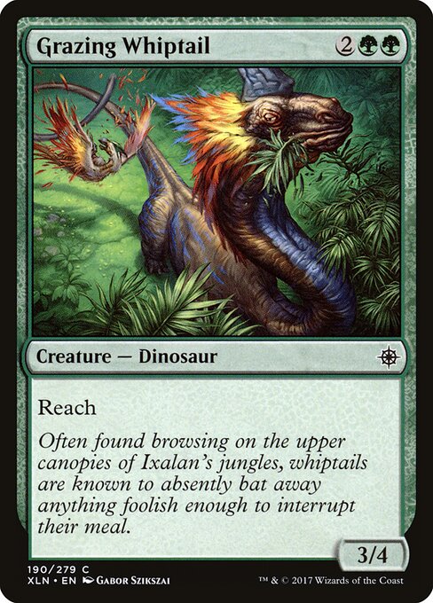 Grazing Whiptail 190