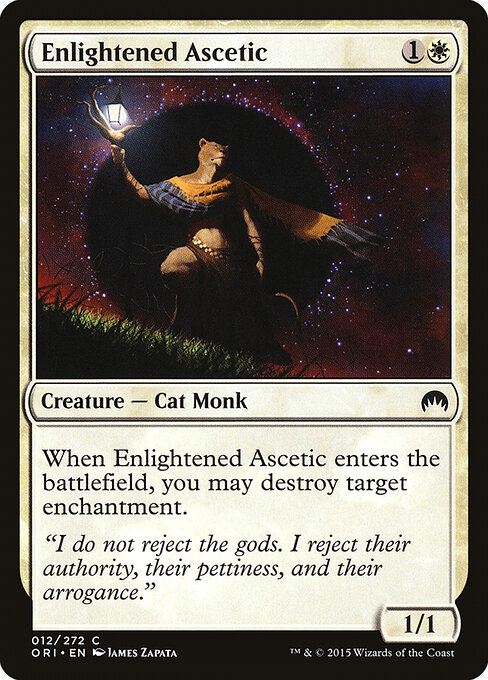 Enlightened Ascetic 12