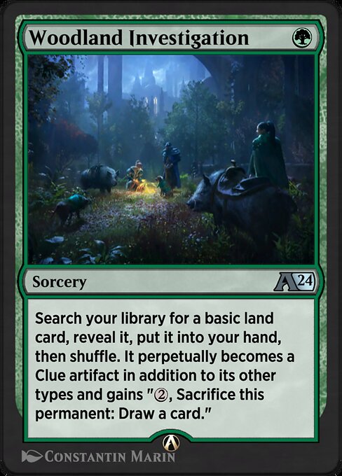 Woodland Investigation 21