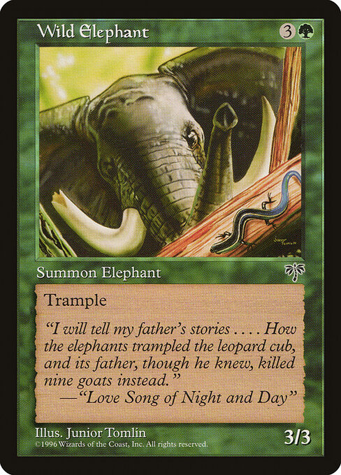 Wild Elephant 254