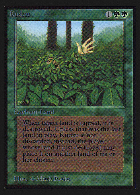 Kudzu 205