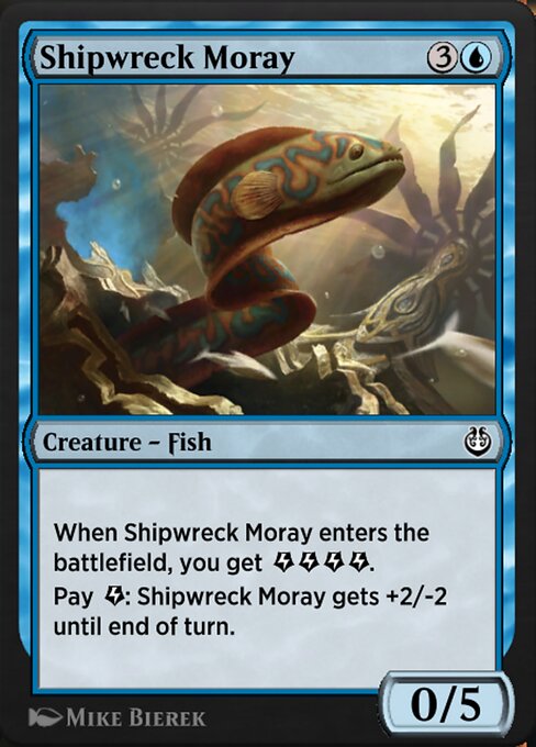 Shipwreck Moray 65