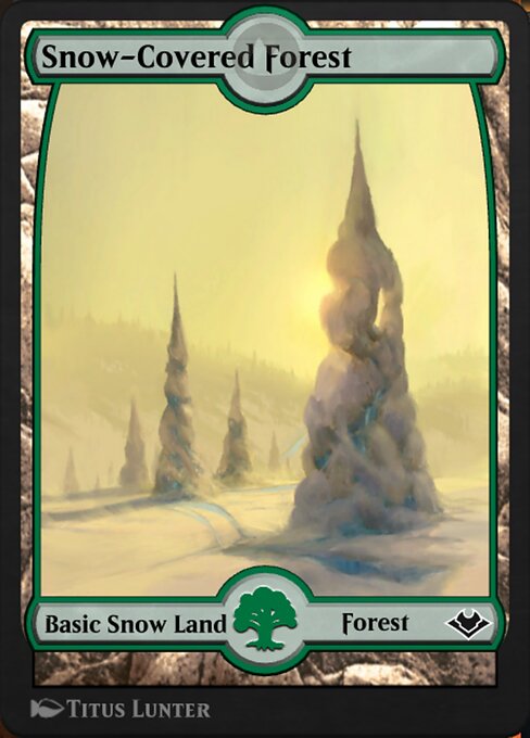 Snow-Covered Forest 261