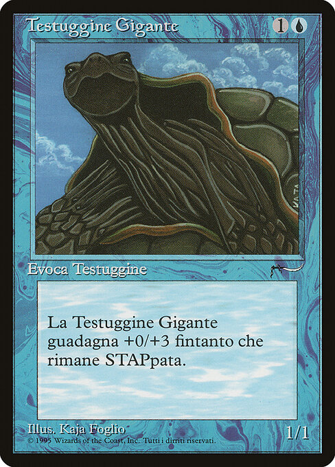 Giant Tortoise 27