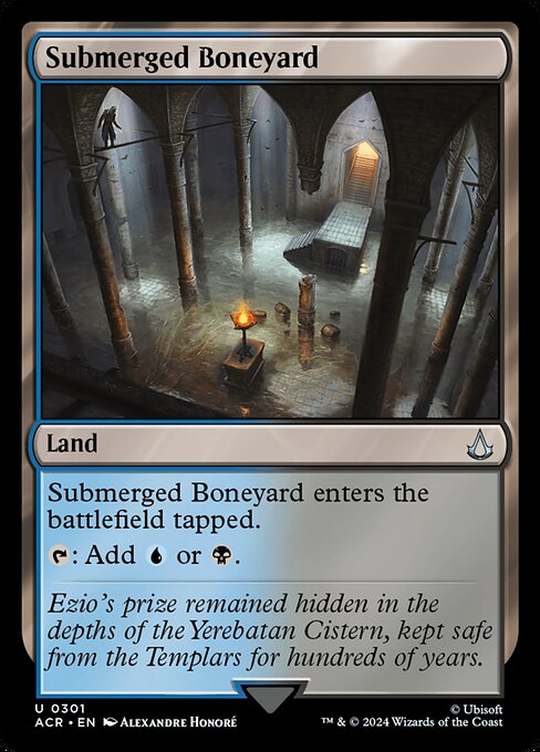 Submerged Boneyard 301