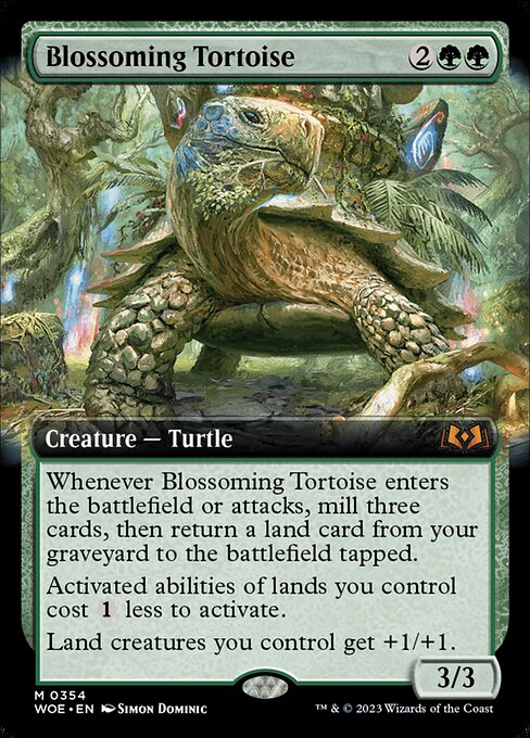 Blossoming Tortoise 354