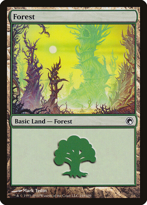 Forest 248