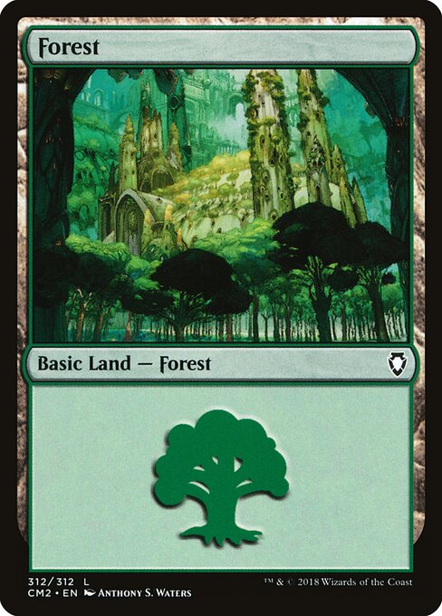 Forest 312