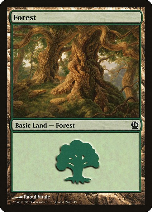 Forest 249
