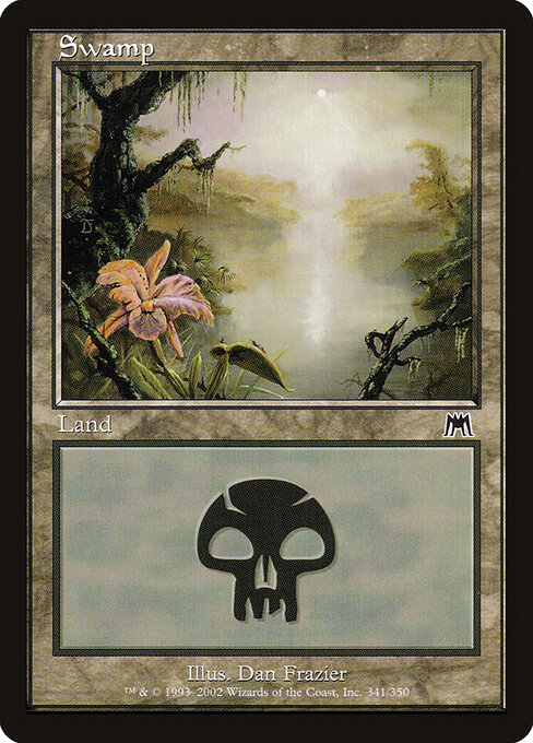 Swamp 341