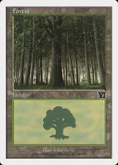 Forest 349
