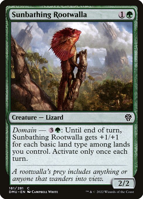 Sunbathing Rootwalla 181