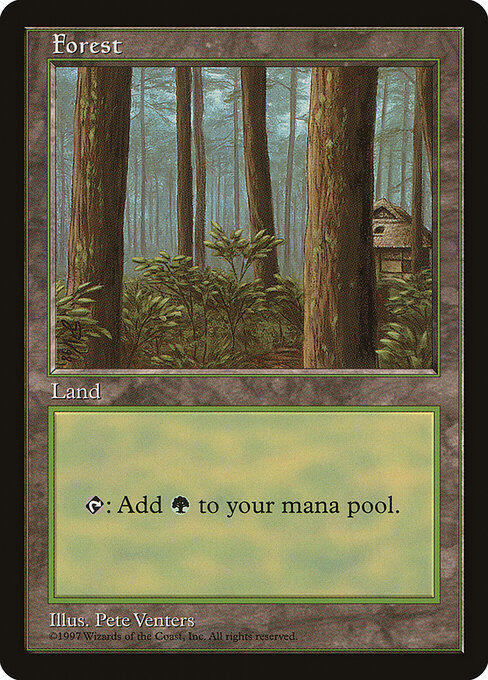 Forest 1