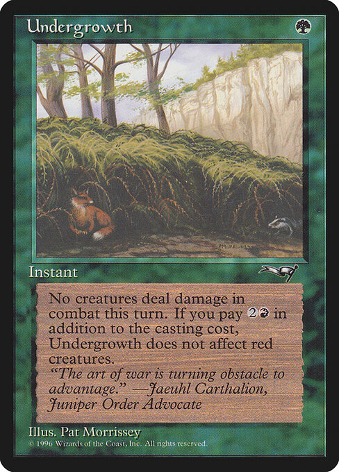 Undergrowth 102b