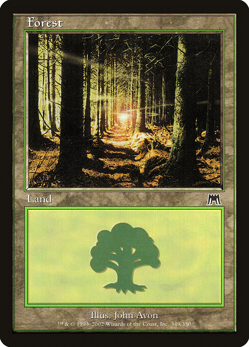 Forest 349