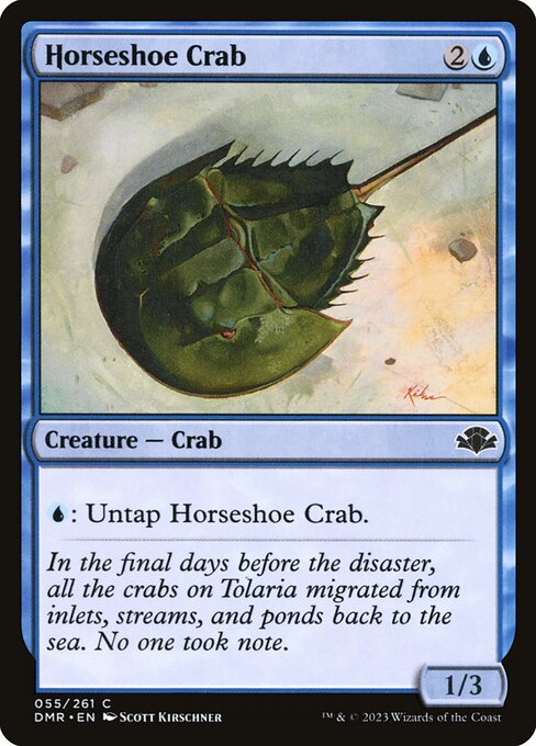Horseshoe Crab 55
