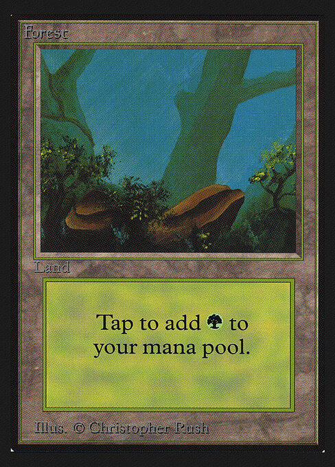 Forest 300