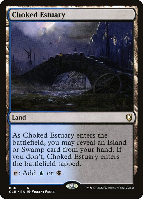 Choked Estuary 886