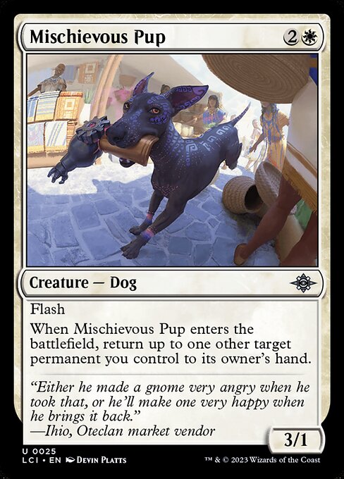Mischievous Pup 25