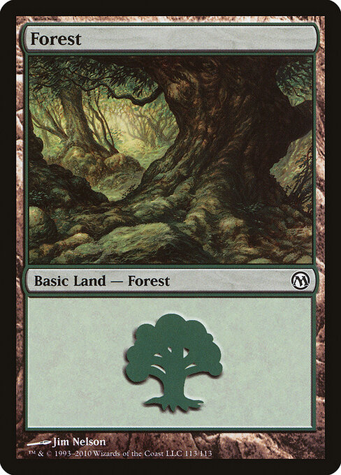 Forest 113