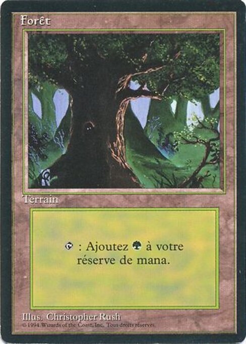 Forest 306