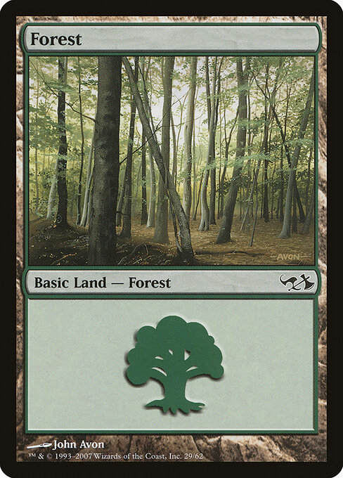 Forest 29