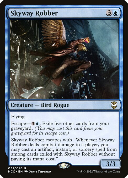 Skyway Robber 31
