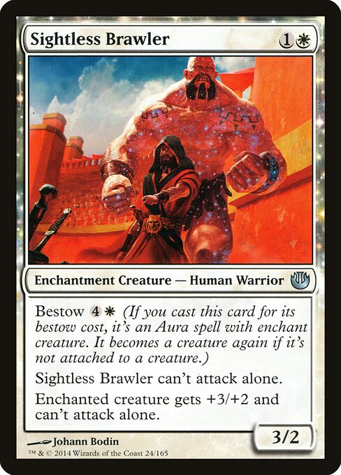 Sightless Brawler 24