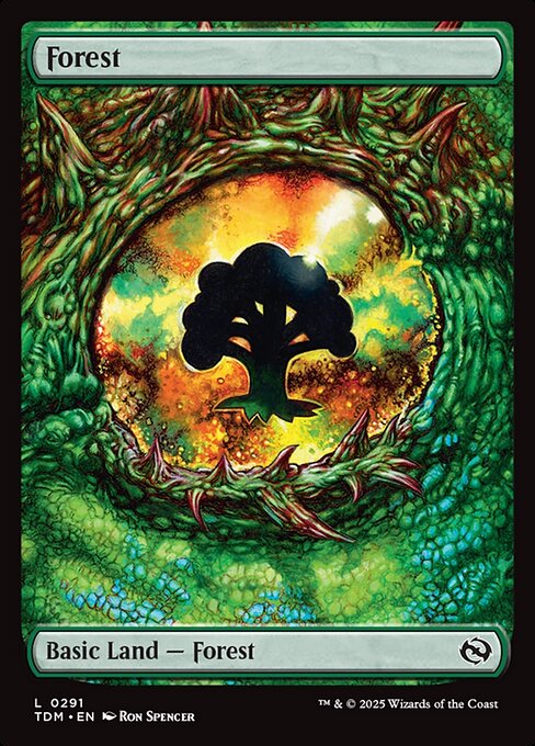 Forest 291